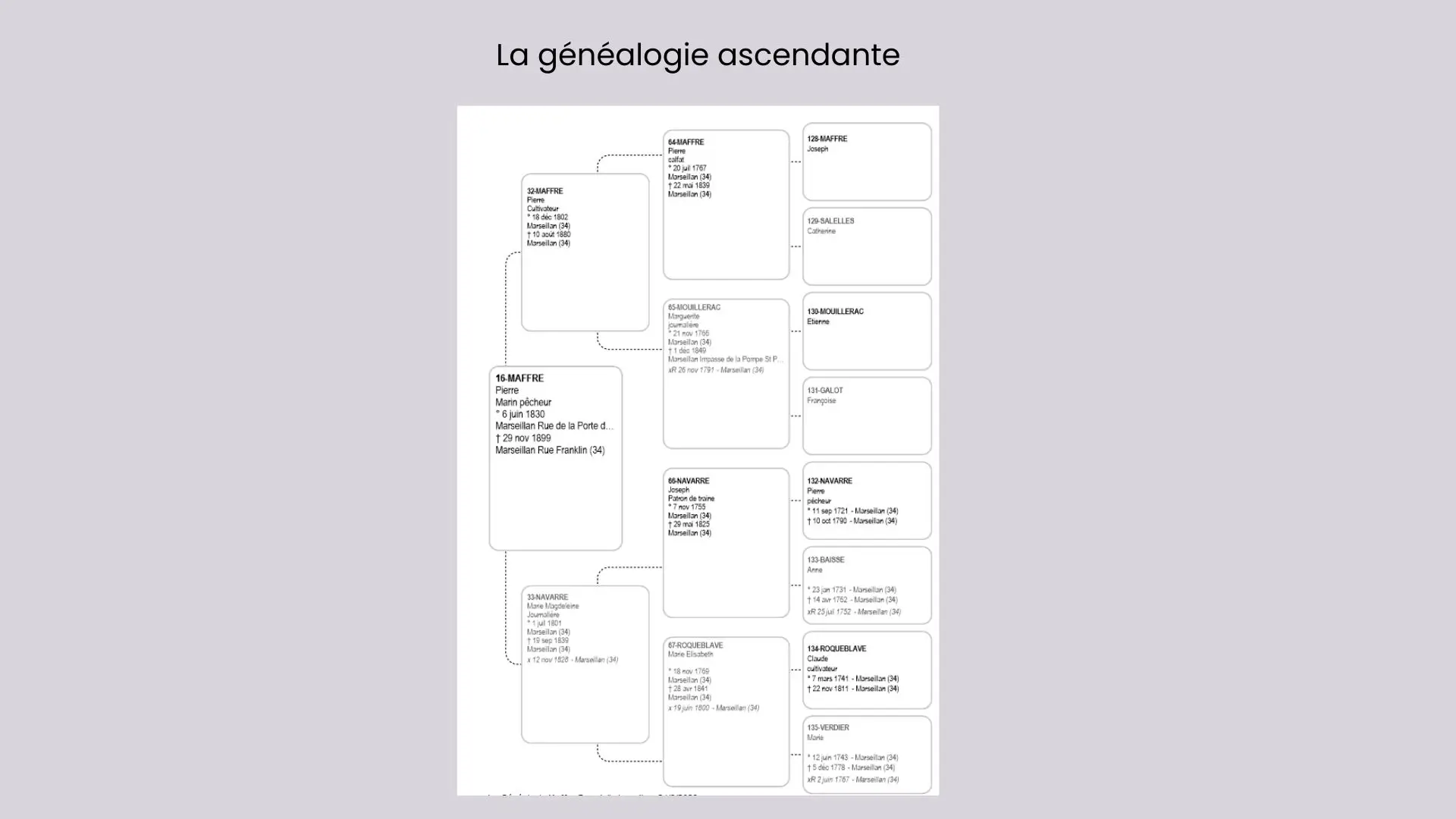 Arbre généalogique d'ascendance