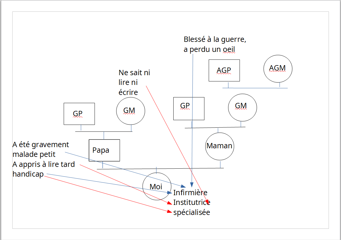 Un généogramme